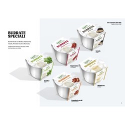 Burratine speciali cluster