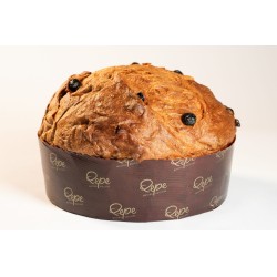 Panettone Traditionnel