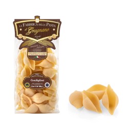 Conchiglioni