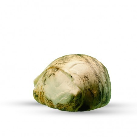 Mozzarella di bufala fumée de Campanie