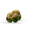 Scamorza naturale e affumicata