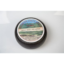 Pecorino nero Terra dei Sapori stagionato
