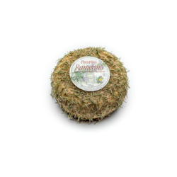 Pecorino Ramerino, rosemary aged