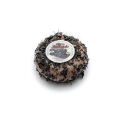Pecorino Vinacciolo, affiné dans le marc de raisin