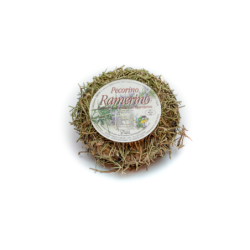 Ramerino cucciolo