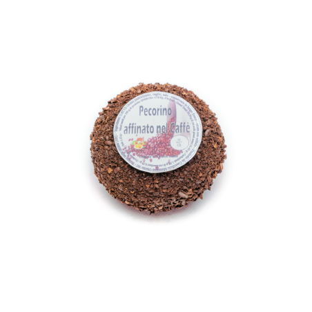 Pecorino Espresso cucciolo