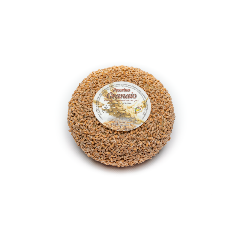 Pecorino Granaio, affiné dans le blé