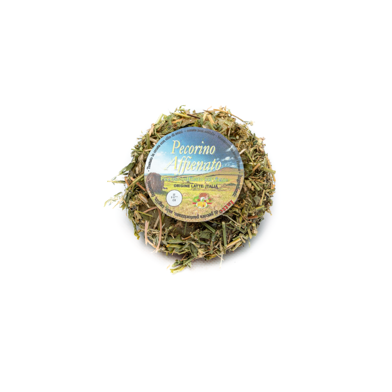 Pecorino Affienato cucciolo