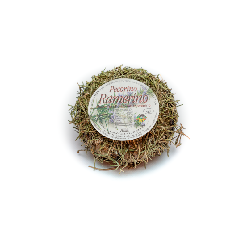 Pecorino Ramerino cucciolo