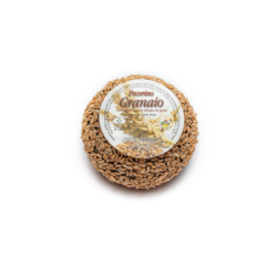 Pecorino Granaio cucciolo