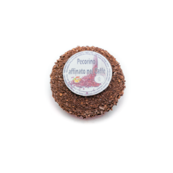 Pecorino Espresso cucciolo
