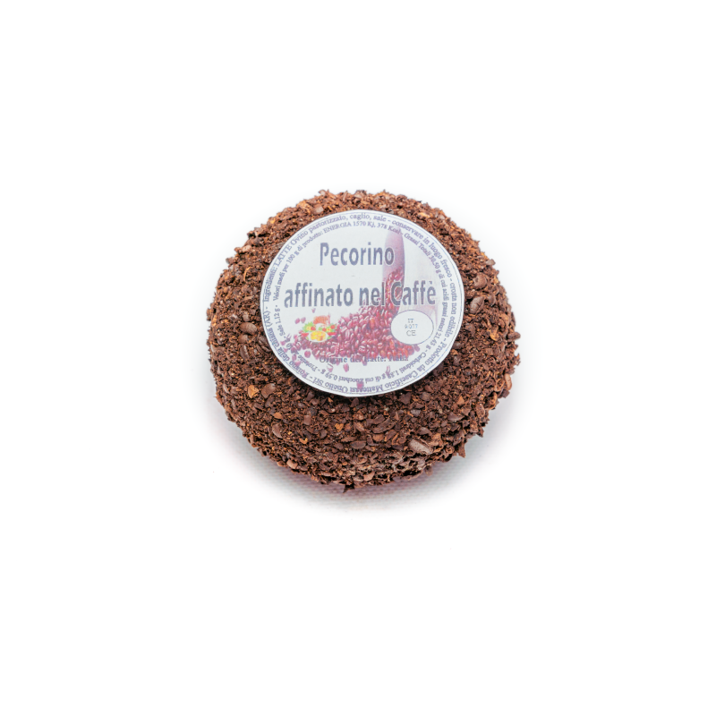 Pecorino Espresso cucciolo