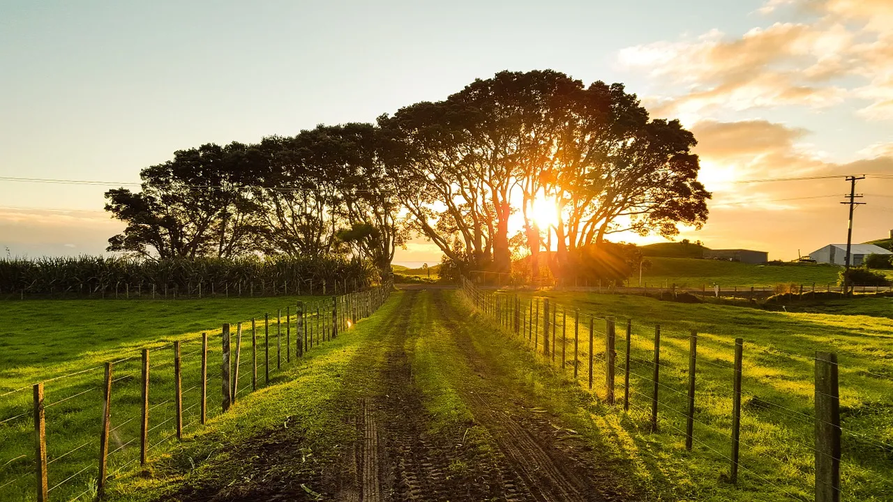Chemin de campagne entre des prés au coucher du soleil